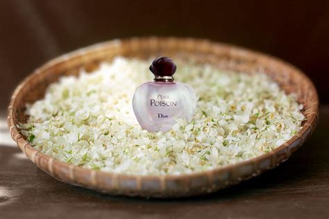 parfum jasmin dior|best jasmine perfume for ladies.